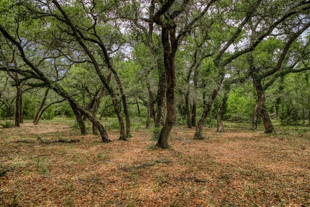 TBD Cr 125, Hallettsville, TX 77964 - photo 12