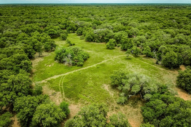 TBD Cr 125, Hallettsville, TX 77964 - photo 13
