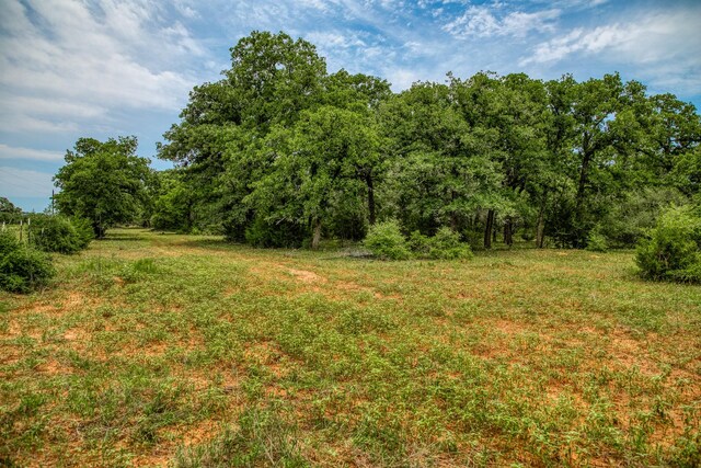 TBD Cr 125, Hallettsville, TX 77964 - photo 14