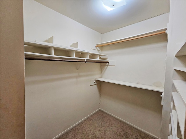 16438 Glenshannon Dr, Houston, TX 77059 - spacious closet featuring carpet floors