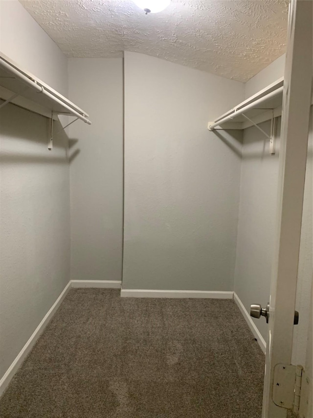 5822 Glenhurst Dr, Houston, TX 77033 - walk in closet featuring carpet flooring