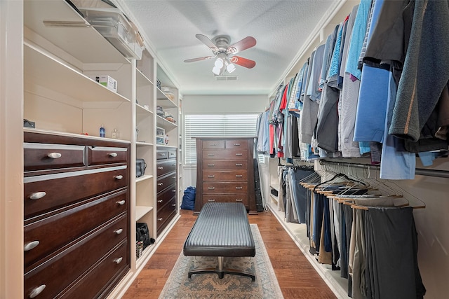 16418 Crawford St, Jersey Village, TX 77040 - spacious closet featuring a ceiling fan and light wood-type flooring