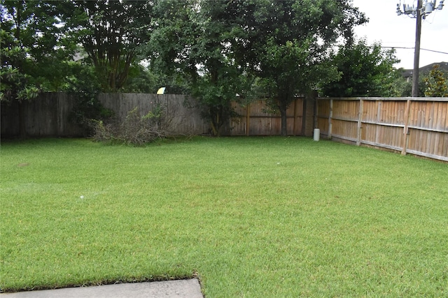 11111 Sprucedale Ct, Houston, TX 77070 - view of yard