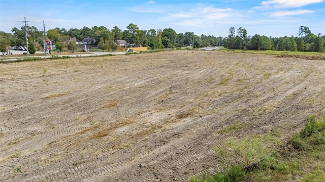 00 Louetta Rd, Spring, TX 77388 - photo 9