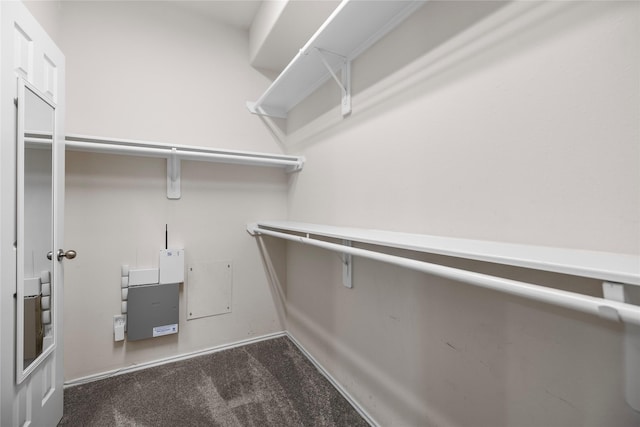 18206 Eton Ridge Ct, Richmond, TX 77407 - walk in closet featuring carpet