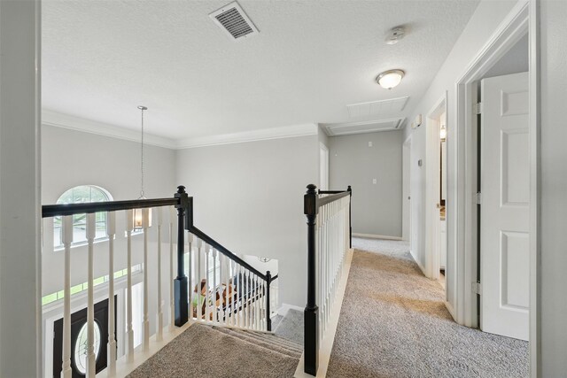 20514 Walnut Canyon Dr, Katy, TX 77450