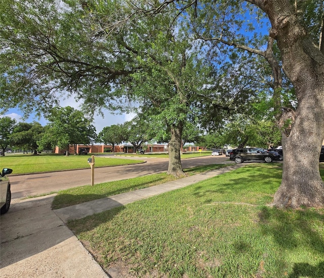 6502 Trail Valley Way, Houston, TX 77086 - view of grassy yard