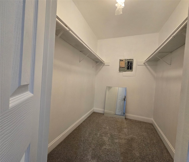 6502 Trail Valley Way, Houston, TX 77086 - walk in closet with carpet flooring and a heating unit