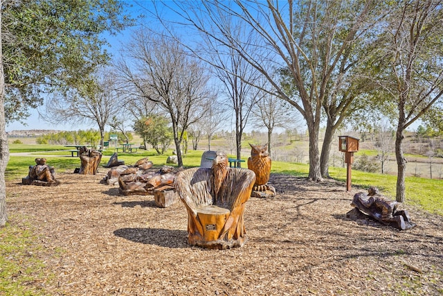 4813 Hummingbird St, Houston, TX 77035 - view of yard