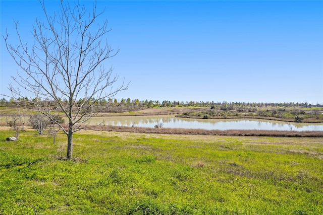 4813 Hummingbird St, Houston, TX 77035 - water view