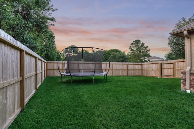 11 Hillsborough Dr E, Montgomery, TX 77356 - yard at dusk with a trampoline