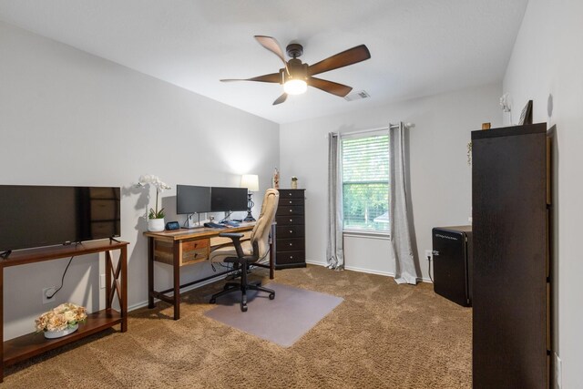 31 Teakwood Pl, The Woodlands, TX 77384 - photo 28