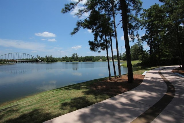 31 Teakwood Pl, The Woodlands, TX 77384 - photo 41
