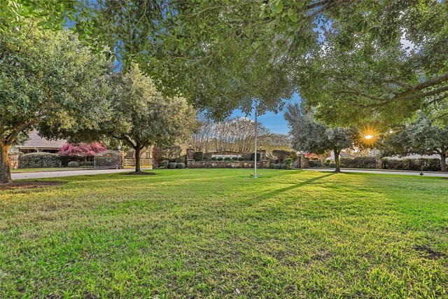 5925 Oak Leaf Ct, Conroe, TX 77304 - view of green lawn