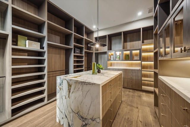 9010 Memorial Dr, Houston, TX 77024 - spacious closet featuring light wood-style floors
