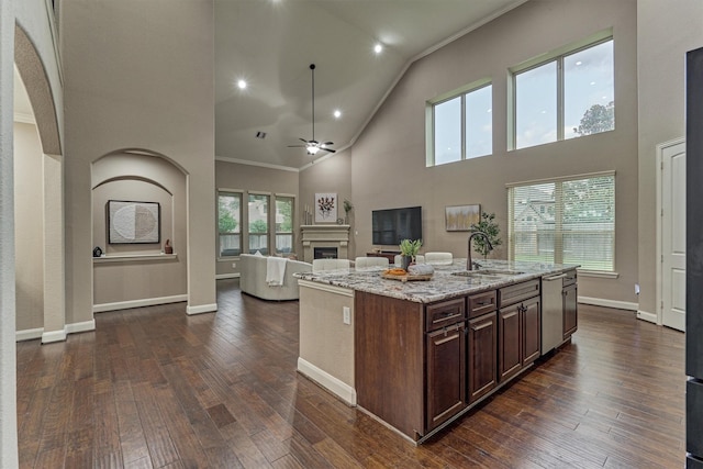 114 Cedar Brush Ct, Montgomery, TX 77316 - kitchen with a sink, a ceiling fan, crown molding, high vaulted ceiling, and a fireplace