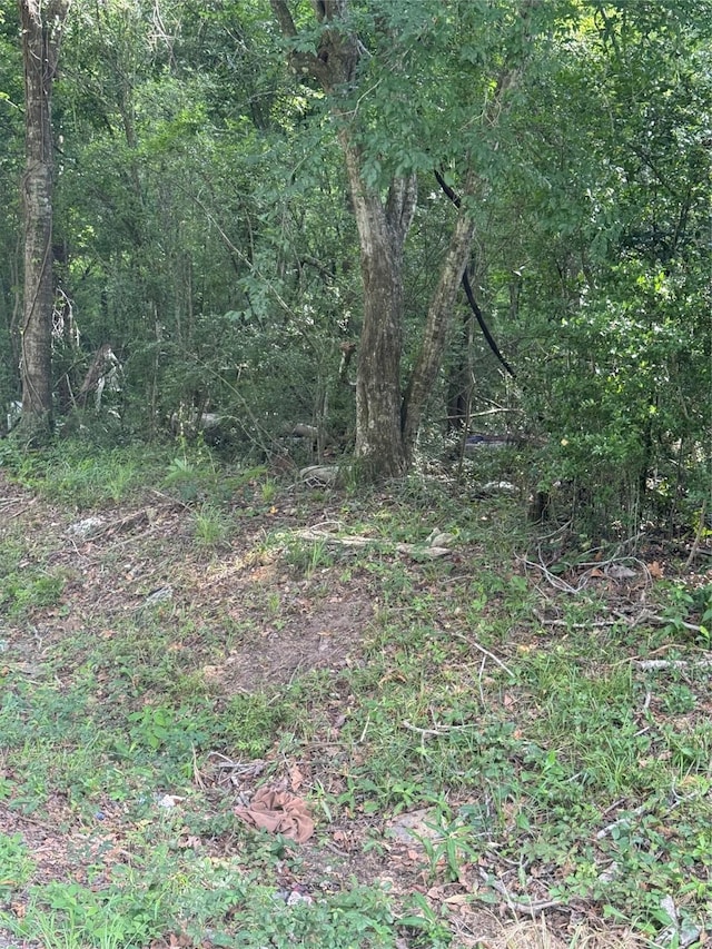 245 County Road 3707, Splendora, TX 77372