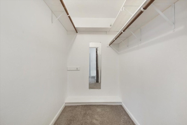 10518 Sageburrow Dr, Houston, TX 77089 - walk in closet with carpet