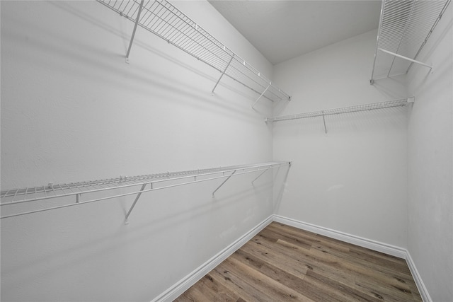 24910 Crystal Stone Ln, Katy, TX 77494 - walk in closet featuring wood finished floors