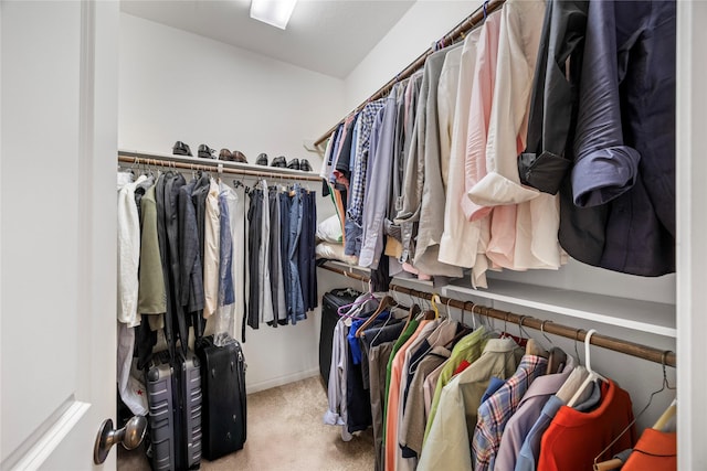122 Cheswood Forest Dr, Montgomery, TX 77316 - walk in closet with carpet floors