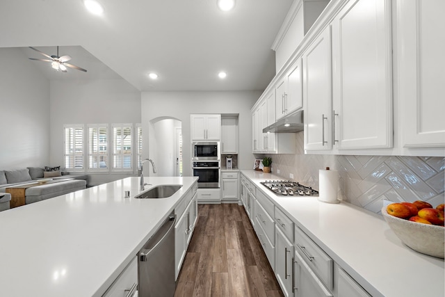 15610 Scolty Reach Ln, Humble, TX 77346 - kitchen featuring appliances with stainless steel finishes, under cabinet range hood, open floor plan, a ceiling fan, and light countertops