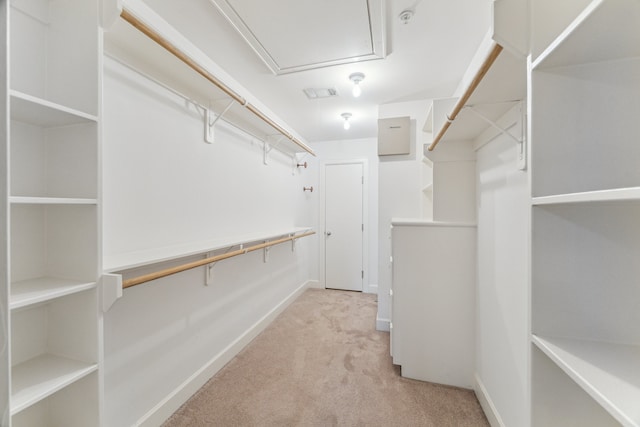 11315 S Main St Unit 1205, Houston, TX 77025 - walk in closet with light colored carpet