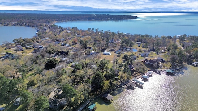 716 Shoreline Dr, Livingston, TX 77351 - photo 5