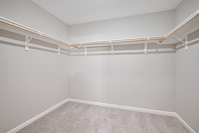6723 Green Pear Ln, Houston, TX 77049 - spacious closet with carpet flooring