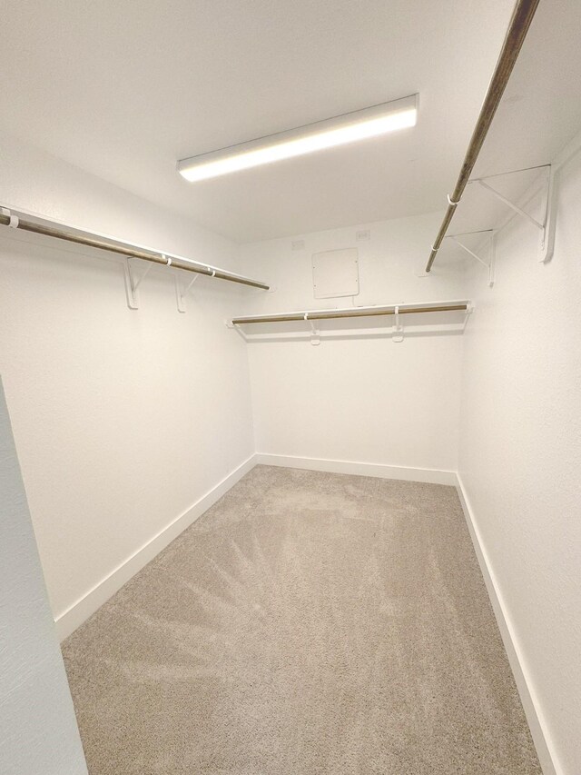 10654 Whitejacket, Conroe, TX 77385 - spacious closet with light carpet