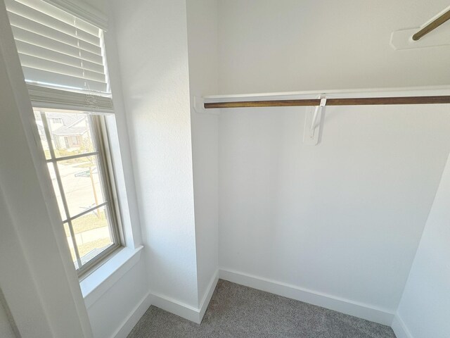 10654 Whitejacket, Conroe, TX 77385 - walk in closet with light carpet