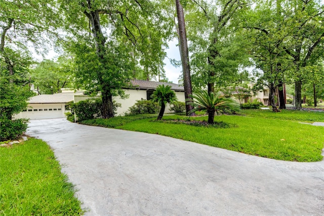 358 Tealwood Dr, Houston, TX 77024 - photo 5