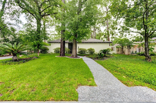 358 Tealwood Dr, Houston, TX 77024 - photo 3