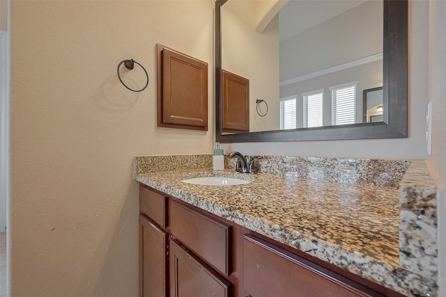 28210 Green Forest Bluff Trl, Katy, TX 77494 - bathroom with vanity and crown molding