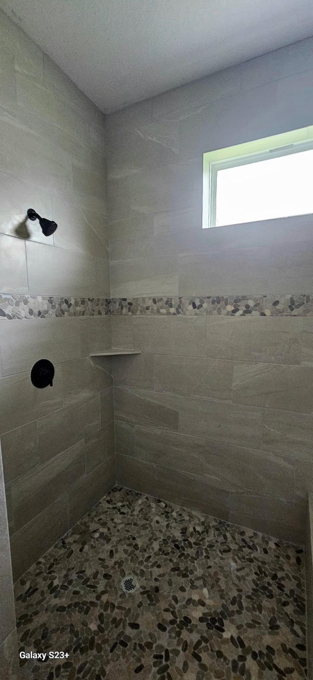 134 Peachleaf Ct, Anahuac, TX 77514 - bathroom with a tile shower
