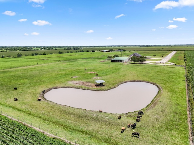 10630 Brinkmeyer Rd, Needville, TX 77461 - photo 9