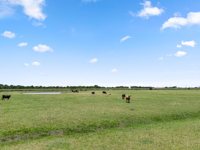 10630 Brinkmeyer Rd, Needville, TX 77461 - photo 49