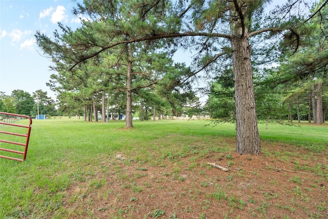 25460 W Fm 1097th Rd, Montgomery, TX 77356 - view of yard