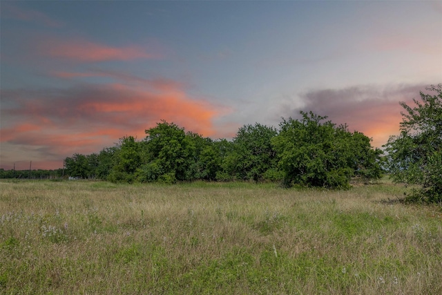 317 Memory Ln, Burton, TX 77835 - photo 1