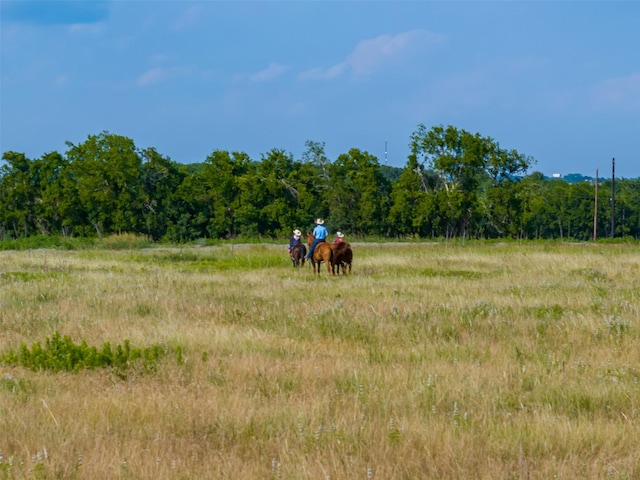 317 Memory Ln, Burton, TX 77835 - photo 4