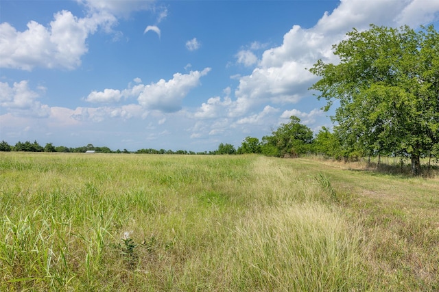 317 Memory Ln, Burton, TX 77835 - photo 6
