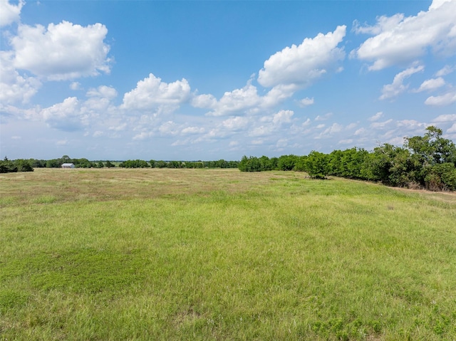 317 Memory Ln, Burton, TX 77835 - photo 7