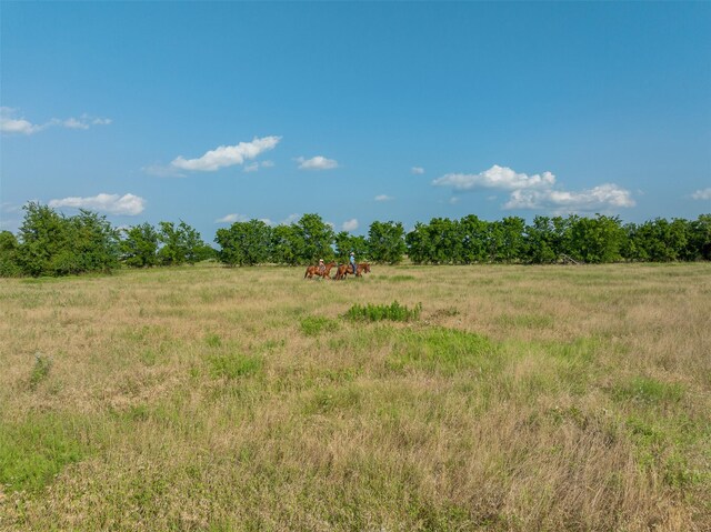 317 Memory Ln, Burton, TX 77835 - photo 10