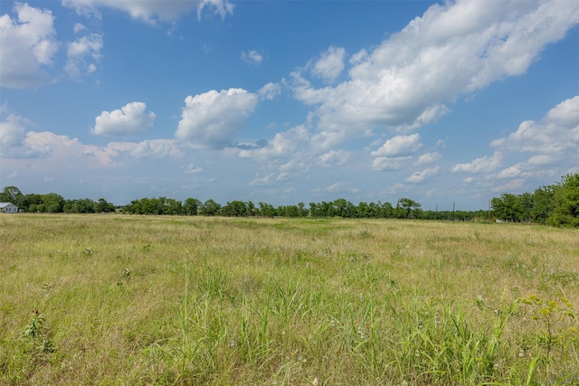317 Memory Ln, Burton, TX 77835 - photo 14
