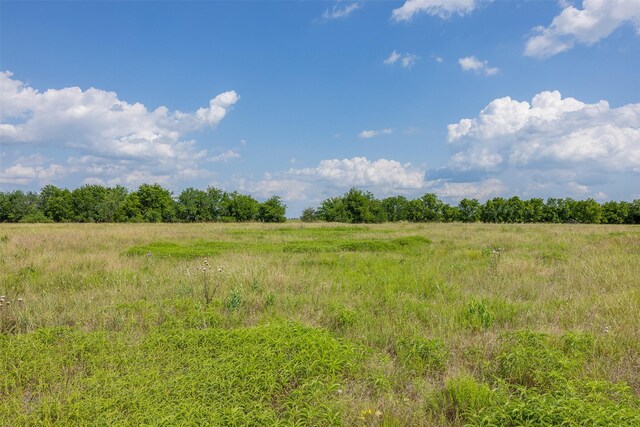 317 Memory Ln, Burton, TX 77835 - photo 15