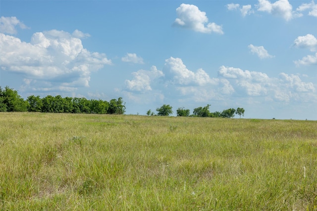 317 Memory Ln, Burton, TX 77835 - photo 16