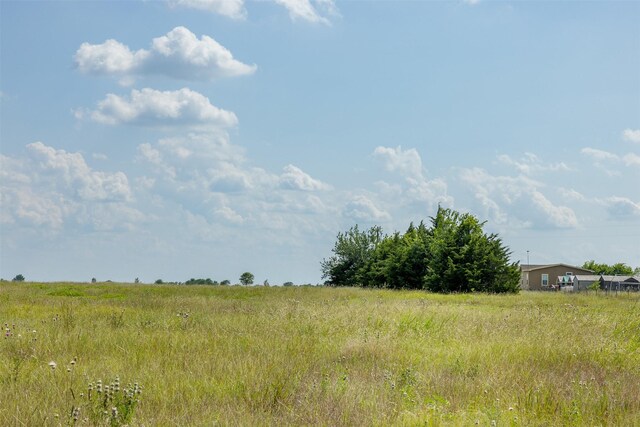 317 Memory Ln, Burton, TX 77835 - photo 17