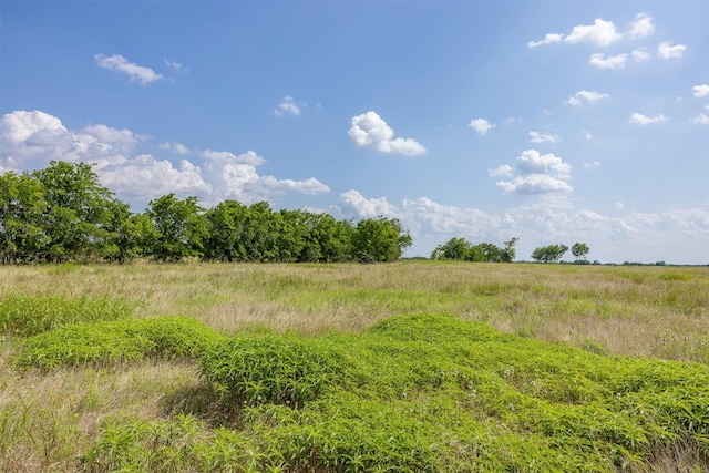 317 Memory Ln, Burton, TX 77835 - photo 20