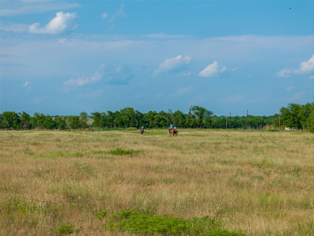 317 Memory Ln, Burton, TX 77835 - photo 24