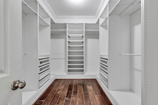 4511 Hickory Branch Ln, Sugar Land, TX 77479 - walk in closet featuring dark wood-style floors