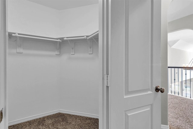 4511 Hickory Branch Ln, Sugar Land, TX 77479 - spacious closet with carpet